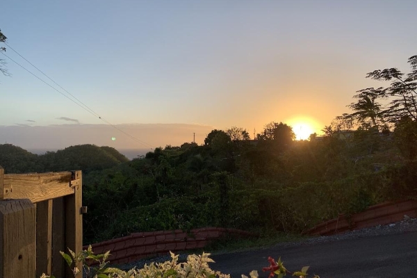 The Lazy Parrot Inn (Rincón)